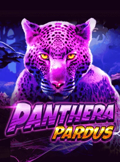 Modern slot game cover with bonus features